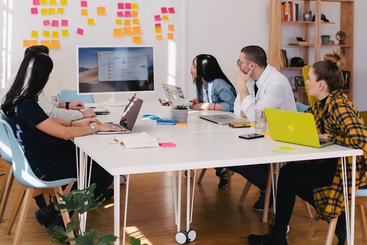 Sales & Business Development